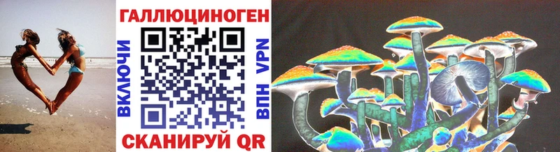 мега как войти  Ленинградская  Галлюциногенные грибы Cubensis 