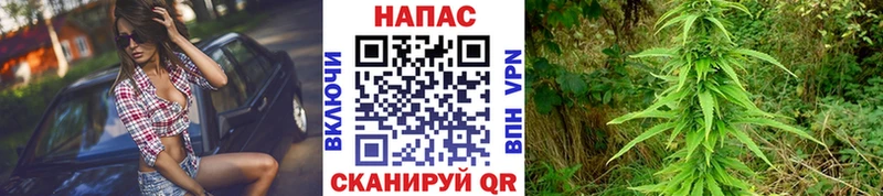 OMG как войти  Ленинградская  МАРИХУАНА AK-47 